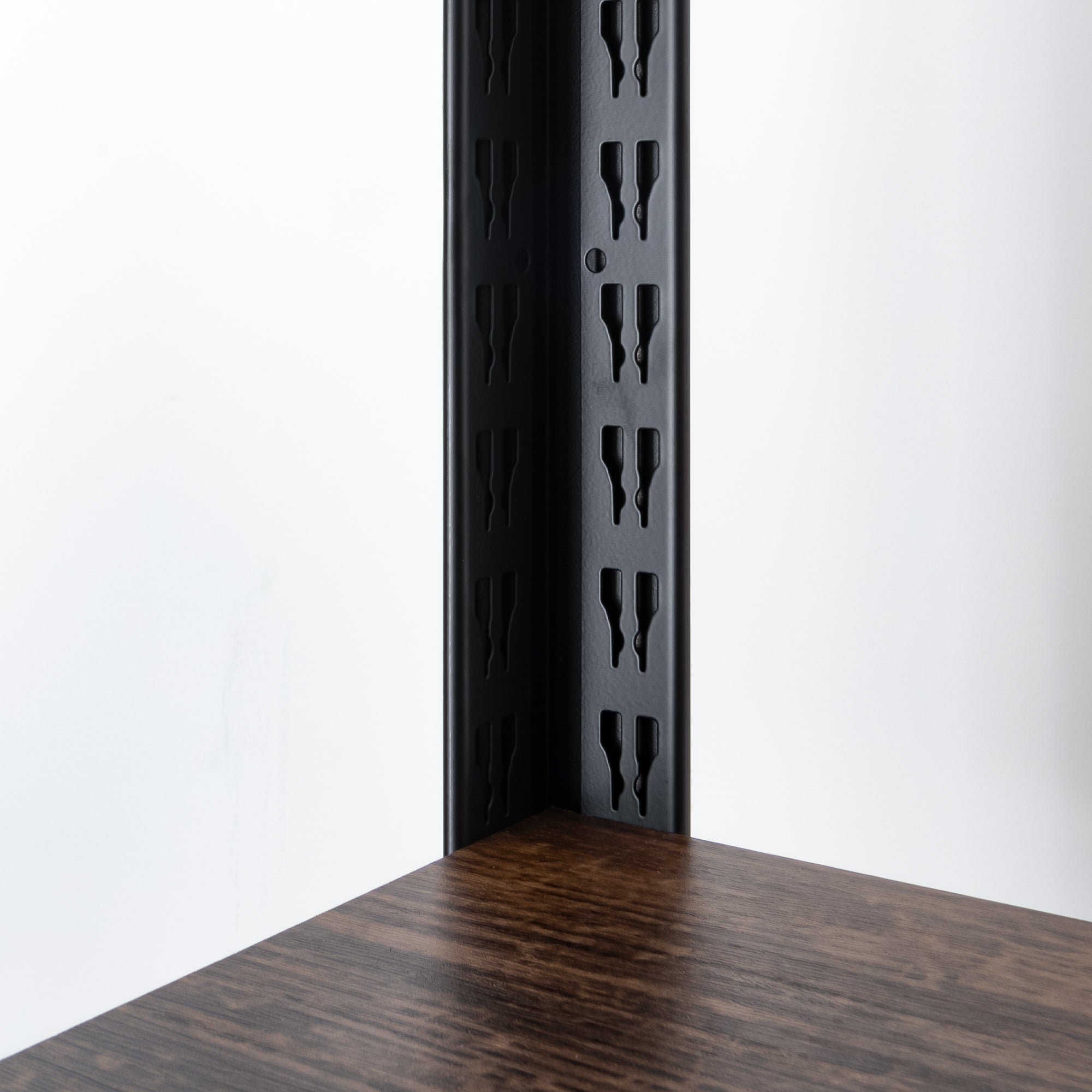 The Standard Split Duo Module